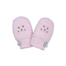 Pink Teddy Bear Club
