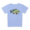 Blue Gill on Light Blue