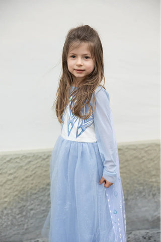 Once Upon a Princess Dress - Winter Princess