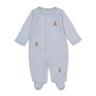Blue Teddy Bear Club