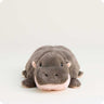 Baby Pygmy Hippo