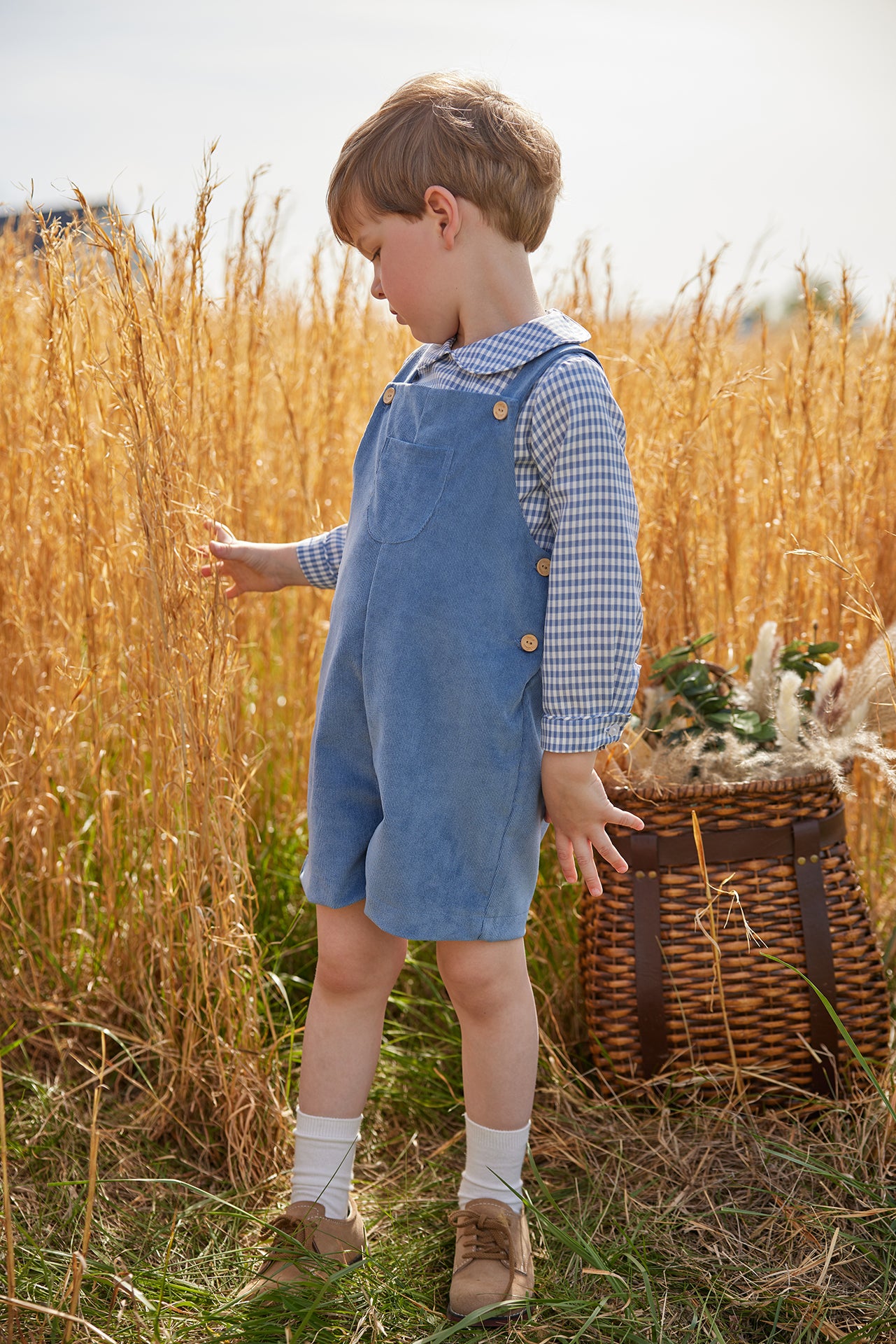 Corduroy Jack Shortall - 25% OFF