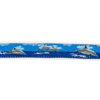 Embroidered Ribbon Belt - Jumping Dolphin on White