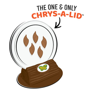 Butterfly Garden with Voucher