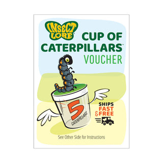 Butterfly Garden with Voucher