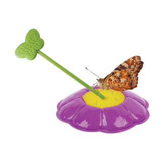 Butterfly Garden with Voucher