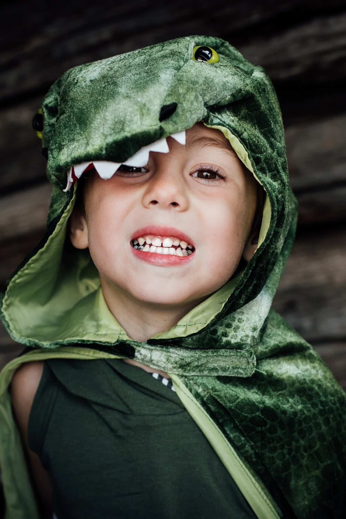 T-Rex Hooded Dinosaur Cape
