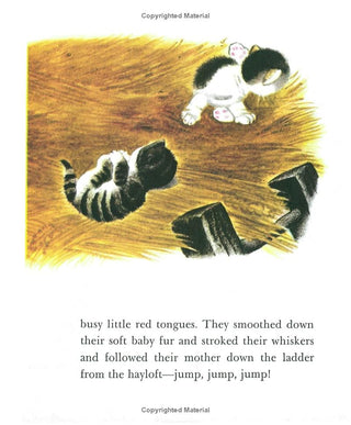 Little Golden Book - The Shy Little Kitten
