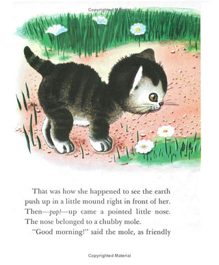 Little Golden Book - The Shy Little Kitten