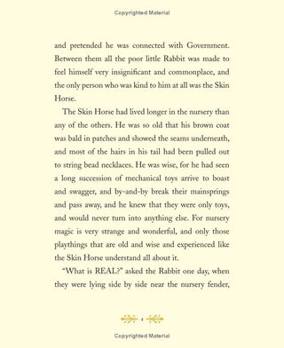 The Velveteen Rabbit