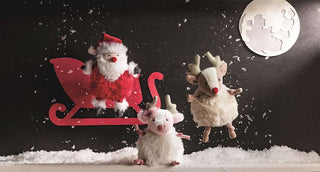 Christmas Pom-pom Pal - Santa