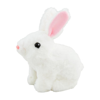 Hoppin' Bunny