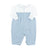 Airplanes on Light Blue Gingham
