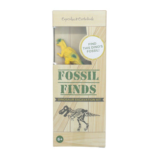 Fossil Finds: Excavation Kit