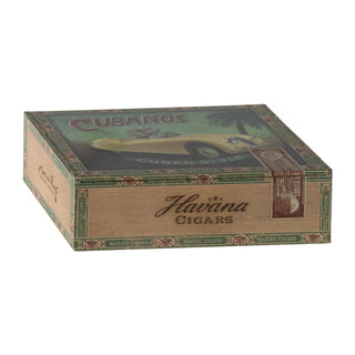 Grandma and Grandpa Mice in a Cigarbox