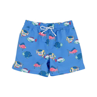 Tortola Swim Trunks - Here Fishy Fishy