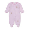 Pink Teddy Bear Club