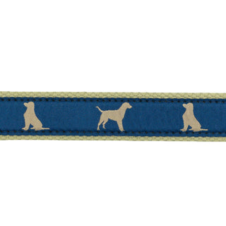 Dog Ribbon Belt