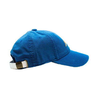 Stegosaurus Hat