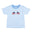 American Flags Applique on Sky Blue Stripe