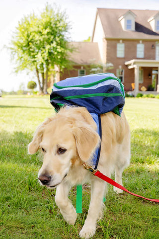Don't Forget Your Backpack - Barbados Blue