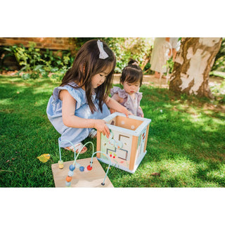 Peter Rabbit Wooden Activity Cube