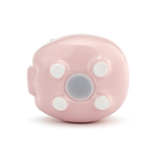 Ceramic Piggy Bank