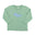 Triceratops on Sage Green