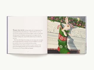 Velveteen Rabbit - Hardcover