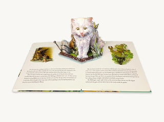 Classic Tale of Peter Rabbit - Deluxe Pop-up Edition
