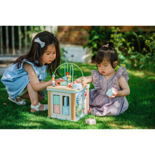 Peter Rabbit Wooden Activity Cube