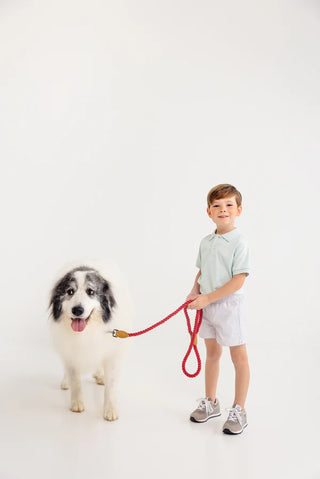 Sheffield Shorts - Grantley Grey Mini Gingham
