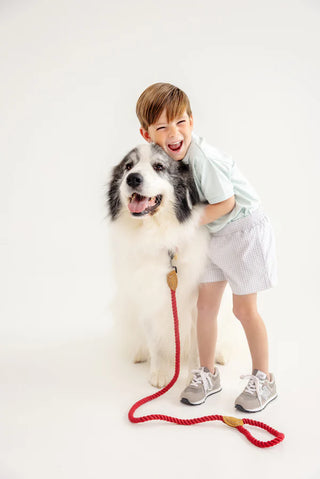 Sheffield Shorts - Grantley Grey Mini Gingham