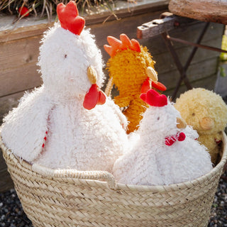 Bug Clucky the Hen