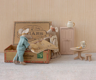 Mum & Dad Mice in Cigarbox