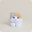 Calico Cat