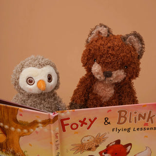 Foxy & Blink Flying Lessons Story Book