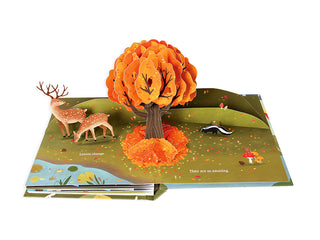 Leaves: An Autumn Pop-up Adventure Book
