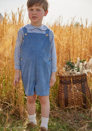Peter Pan Collared Shirt - Gray Blue Gingham