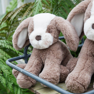 Floppy Mutt - Toffee