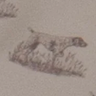 Pointer