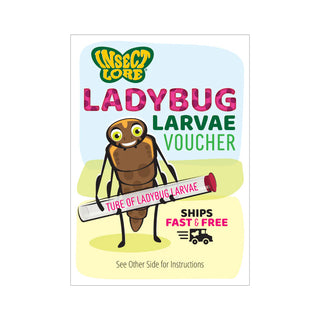 Ladybug Land with Voucher