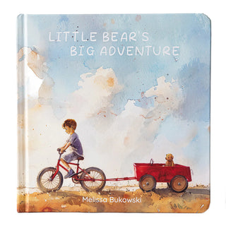 Little Bear's Big Adventure Board Book