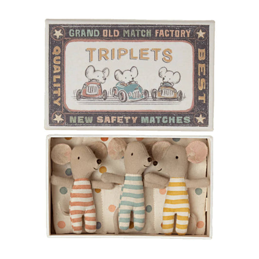 Triplet Baby Mice in a Matchbox