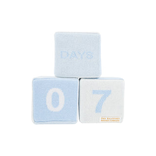 Blaylock Blocks - Buckhead Blue