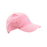 Hamptons Hot Pink Gingham with Beale Street Blue Stork