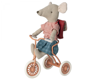 Abri a tricycle, Mouse