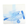 Plane