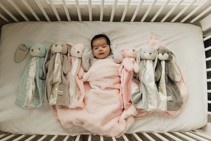 Nibble Buddy Blanket