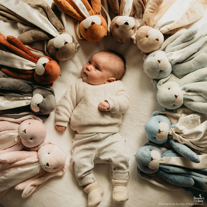 Nibble Buddy Blanket